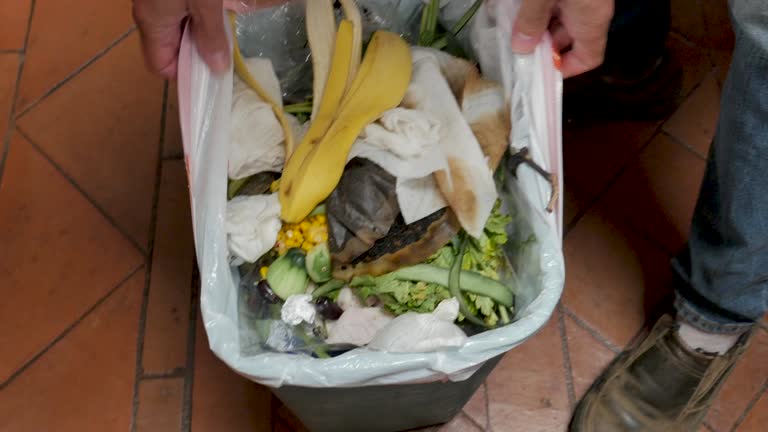 Best Hoarding Cleanup  in De Witt, NY