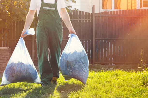 Best Demolition Debris Removal  in De Witt, NY